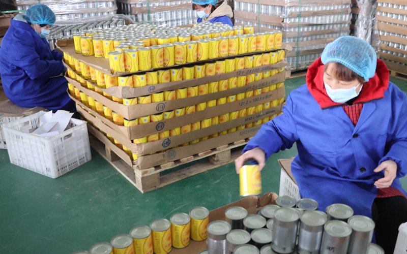 国际贸易代理:你的出口业务好帮手